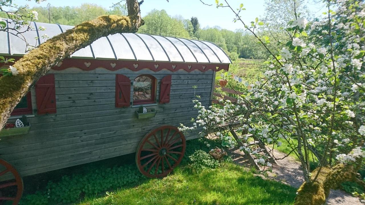 Roulotte Le Temps De Rever Acomodação com café da manhã Saint-Michel-sur-Meurthe Exterior foto